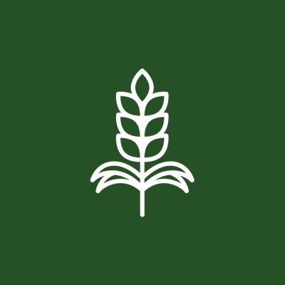 zitarice6